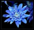 /album/astry/astra-4-jpg/
